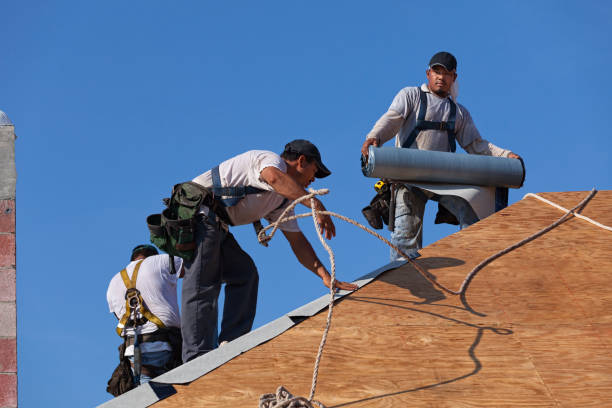 Best Roof Gutter Cleaning  in Mulvane, KS