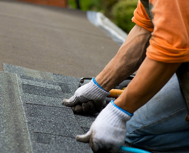 Best Storm Damage Roof Repair  in Mulvane, KS